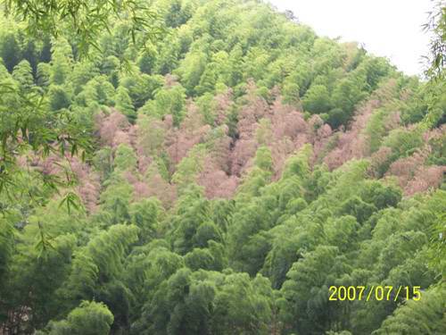 2007꿪ë